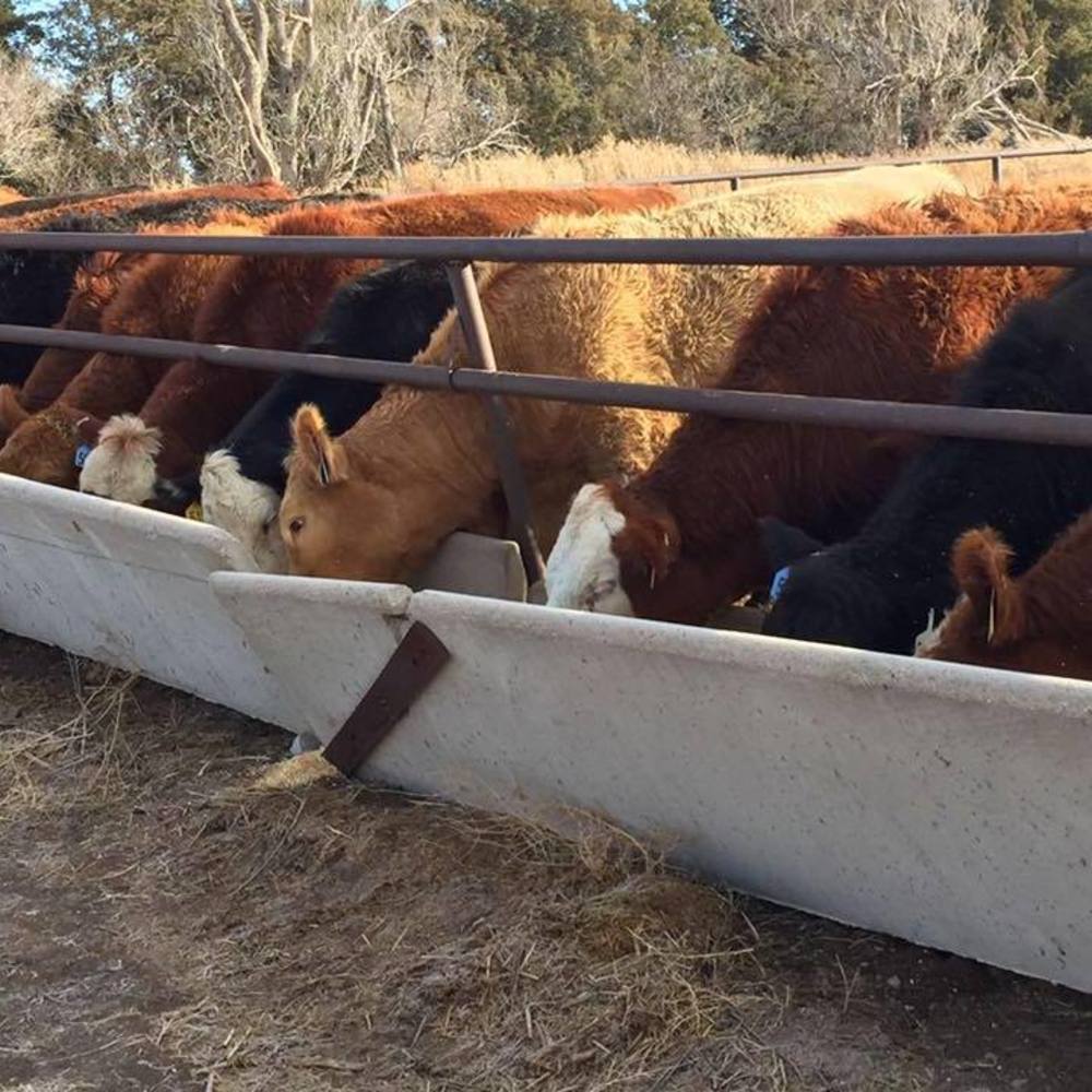 Meet your Posher, Vicki